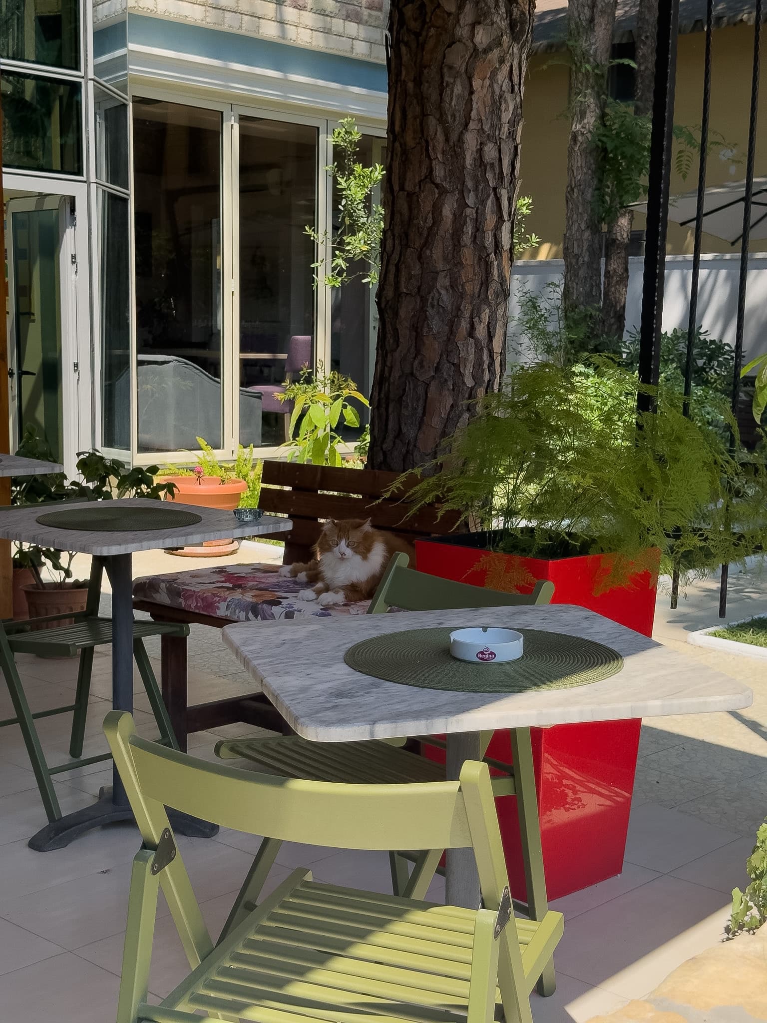 Shaded garden tables beside the hotel bar